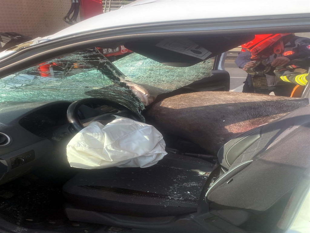 yola firlayan at polis aracina girdi 2 polis yarali 1 CnANAIJA