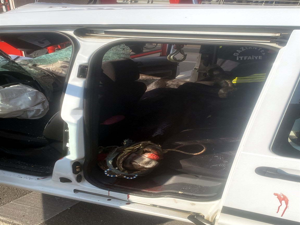 yola firlayan at polis aracina girdi 2 polis yarali 2 DQaDPM7e