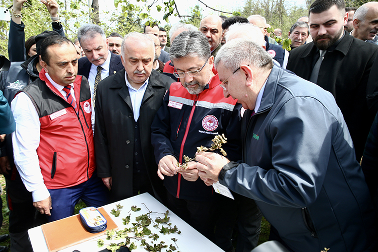 zirai don vuran 16 meyve turu icin destek aciklamasi 0 J1F75MB6