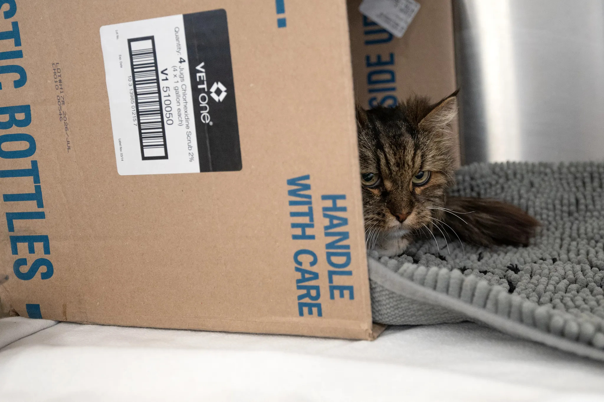 380 metreden dusen kedi olmedi sahipleri oldu 1 DTD7MrtB