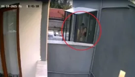 doktorun oldurdugu iddia edilen kopek sayisi 26ya ulasti fyXFPYxt
