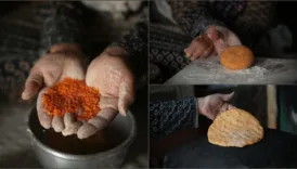 filistinli annenin mercimek ekmegi ben ve cocuklarim aylardir ac yatiyoruz hjIUaswk