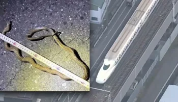 yilan yogun hizli tren seferlerini durdurdu 1AVgr15g